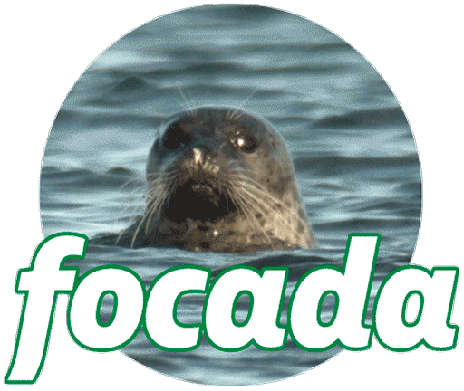 Concentrada Focada Sticker by Petrobras