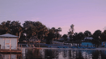 FIU summer nature calm camp GIF