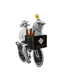 Beer Amsterdam Sticker by Brouwerij 't IJ