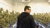 Plant Wow GIF by Exclusive Brands