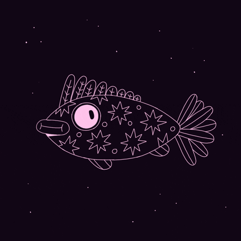 fish GIF by VAL