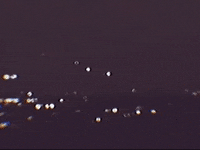 Footage Oaf GIF by jorgemariozuleta