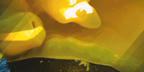 LSAsocial giphyupload college university michigan GIF