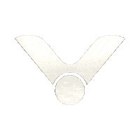 VICTORSPORT sports victor badminton rackets Sticker