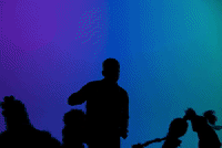 GIF by Sesame Street