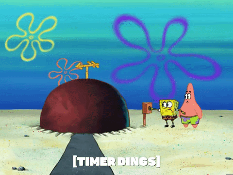 season 6 GIF by SpongeBob SquarePants