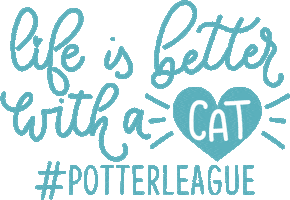 Take Me Home Sticker by Potter League