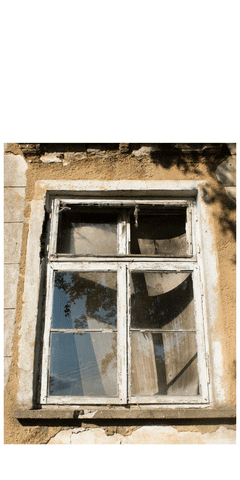 stnort giphyupload GIF