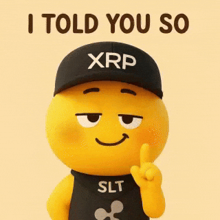 I Told You Omg GIF by SaluteXRPL