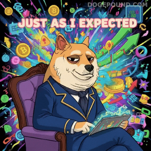 To The Moon Success GIF by Doge Pound
