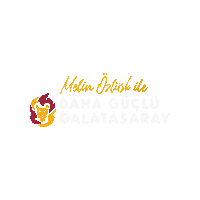 dahaguclugalatasaray metin öztürk daha güçlü galatasaray Sticker