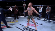 ufc 229 sport GIF by UFC