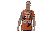 Volleyball Berlin Sticker by BR Volleys