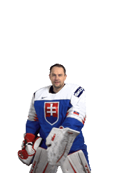 Ice Hockey Goal Sticker by International Ice Hockey Federation