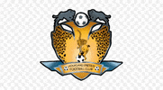 Spl Cheetahs GIF by HGFC