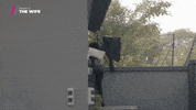 Ninja Wife GIF by Showmax
