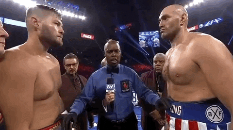 toprank giphyupload fight boxing fighting GIF