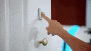 dog design GIF by ADWEEK