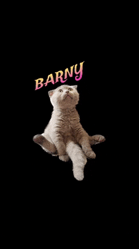 Cat GIF