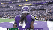 Minnesota Vikings Football GIF by NFL