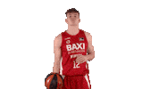 Liga Endesa Basketball Sticker by ACB