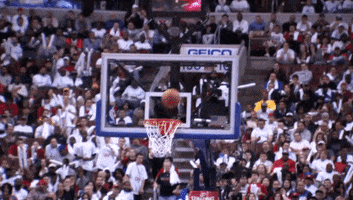 dwayne wade GIF