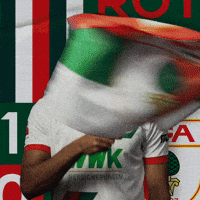 Football Waving GIF by FC Augsburg 1907