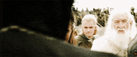 lotr GIF