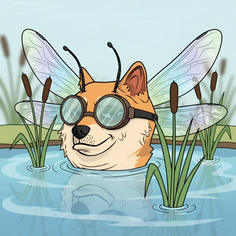 Shiba Inu Swimming GIF by Doge Pound