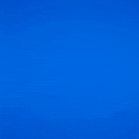 Technology Bitcoin GIF by Nexus