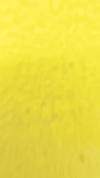 Bigchungus GIF by Youtooz