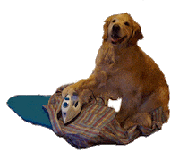 dog Sticker by namslam