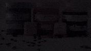 StarpilWaxUSA waxing starpilwaxusa starpilwax GIF