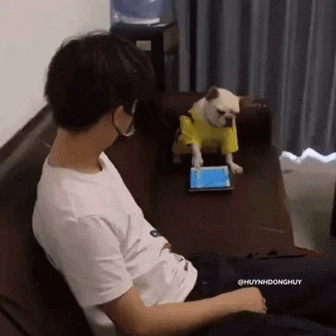 xSLYGUYx giphyupload GIF