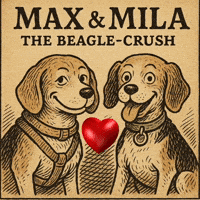 Max Mila GIF by Die Wirkungskademie