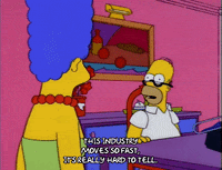homer simpson GIF