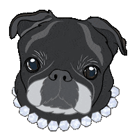 Dogs Love Sticker