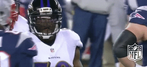 Baltimore Ravens Football GIF by NFL