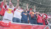 rbny GIF by New York Red Bulls