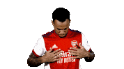 Celebrate London Sticker by Arsenal