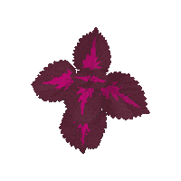 Flower Blomma Sticker by Edberg