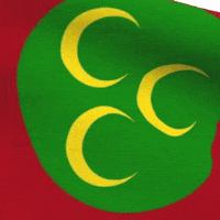 turukkflag turk ottoman türk osmanlı GIF