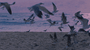 Me Enamora Love GIF by Mau y Ricky