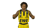 Ewe Baskets Basketball Sticker by EWE Baskets Oldenburg