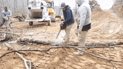 John Deere Tree GIF by JC Property Professionals