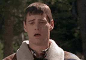 giphykatetest GIF