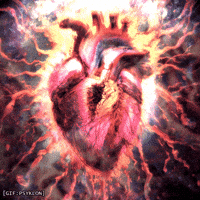 Heart Love GIF by Psyklon
