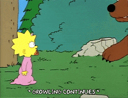 Season 1 GIF by The Simpsons