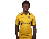 No Idea What Sticker by BSC Young Boys