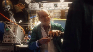 season 1 yes GIF by Dream Corp LLC